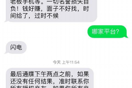 岱岳企业清欠服务